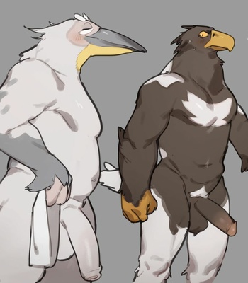 Porn Comics - Pelican and White-tailed Eagle