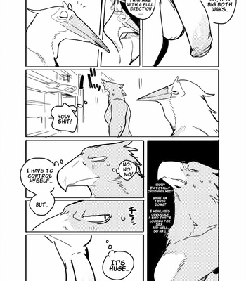 Pelican and White-tailed Eagle comic porn sex 3